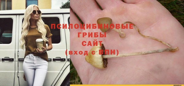 шишки Куйбышев