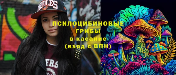 шишки Куйбышев